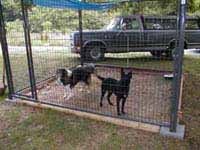 Shot of kennel